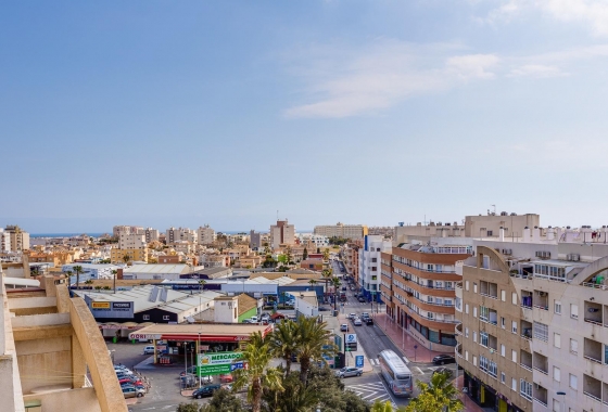 Rynek Wtórny - Apartament - Torrevieja - Centrum