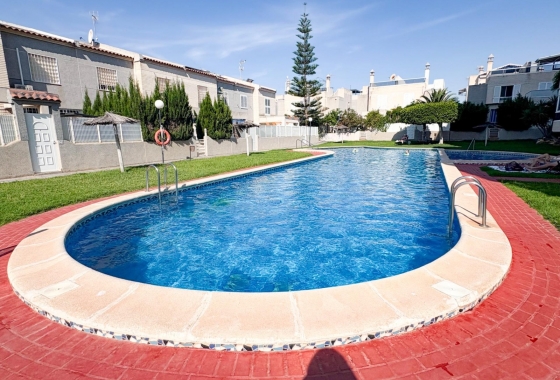 Rynek Wtórny - Apartament - Torrevieja - Nueva Torrevieja - Aguas Nuevas