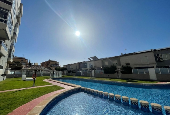 Rynek Wtórny - Apartament - Torrevieja - Nueva Torrevieja - Aguas Nuevas