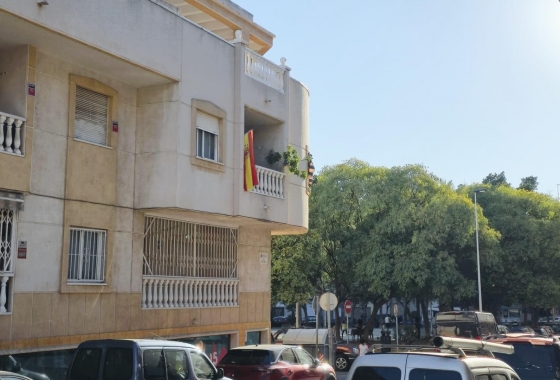 Rynek Wtórny - Kawalerka - Torrevieja - Torrevieja - Playa del Cura