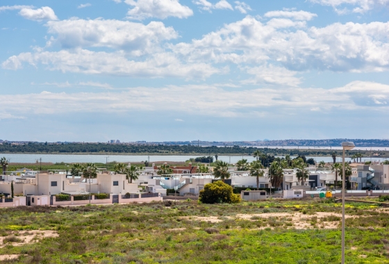 Deweloperskie - Willa - Rojales - Ciudad Quesada