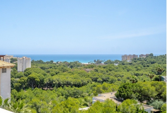 Rynek Wtórny - Poddasze - Orihuela Costa - Campoamor