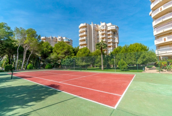 Rynek Wtórny - Apartament - Orihuela Costa - Campoamor