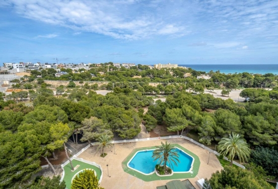 Resale - Apartment / flat - Orihuela Costa - Campoamor