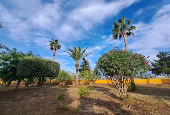 Reventa - Adosado - Torrevieja - La Siesta - El Salado -  Torreta