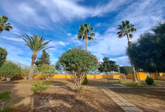 Rynek Wtórny - Bliźniak - Torrevieja - La Siesta - El Salado -  Torreta