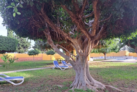 Reventa - Adosado - Torrevieja - La Siesta - El Salado -  Torreta