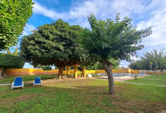 Rynek Wtórny - Bliźniak - Torrevieja - La Siesta - El Salado -  Torreta