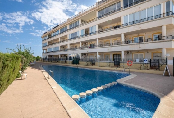 Rynek Wtórny - Apartament w bloku - Orihuela Costa - Playa Flamenca Norte