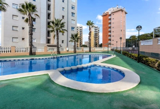 Reventa - Apartamento / piso - Guardamar del Segura