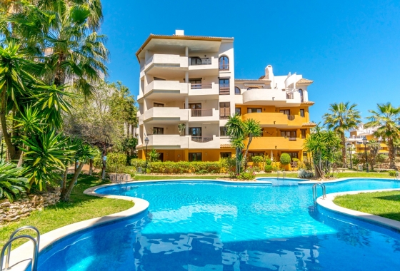 Rynek Wtórny - Apartament - Torrevieja - Punta prima