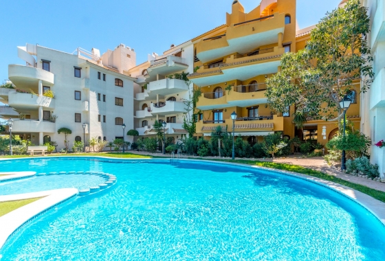 Rynek Wtórny - Apartament - Torrevieja - Punta prima