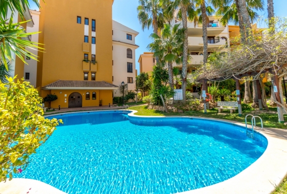 Rynek Wtórny - Apartament - Torrevieja - Punta prima