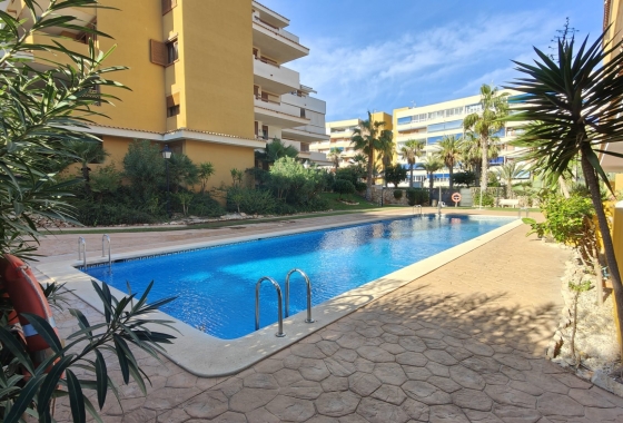 Reventa - Apartamento / piso - Torrevieja - Punta prima