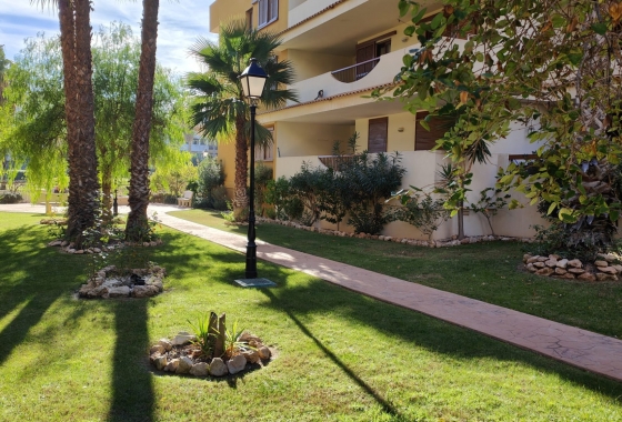 Rynek Wtórny - Apartament - Torrevieja - Punta prima